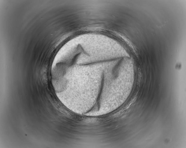 X0000098181162200805221531