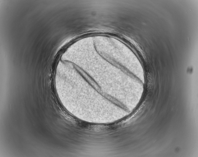 X0000098181163200805221531