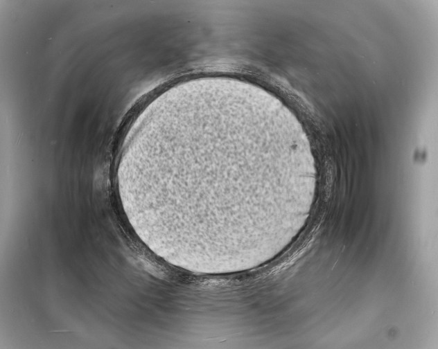 X0000098181166200805221531