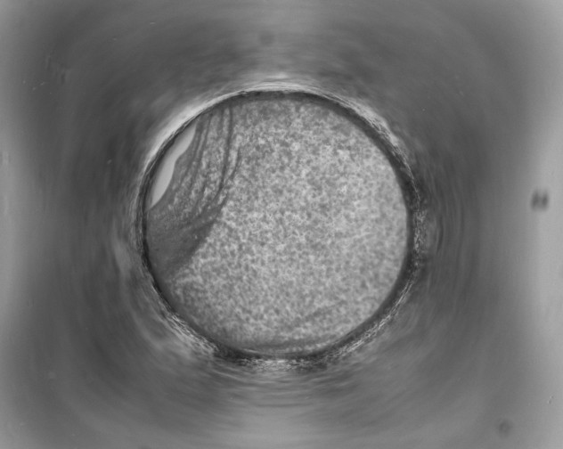 X0000098181167200805221531