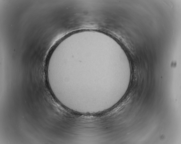 X0000098181168200805221531