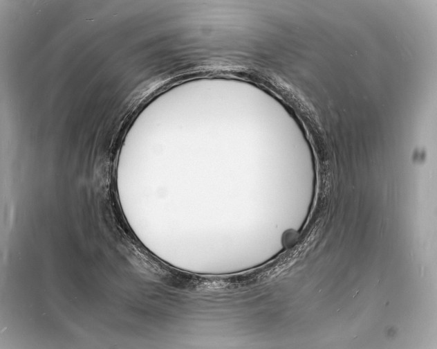 X0000098181169200805221531