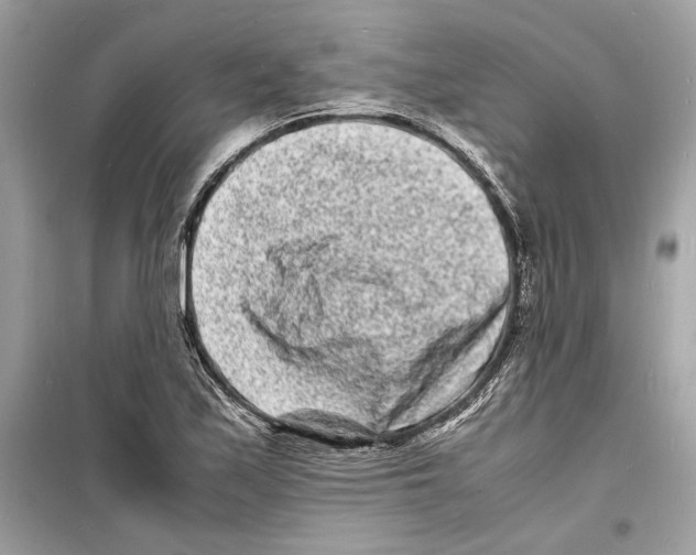 X0000098181171200805221531