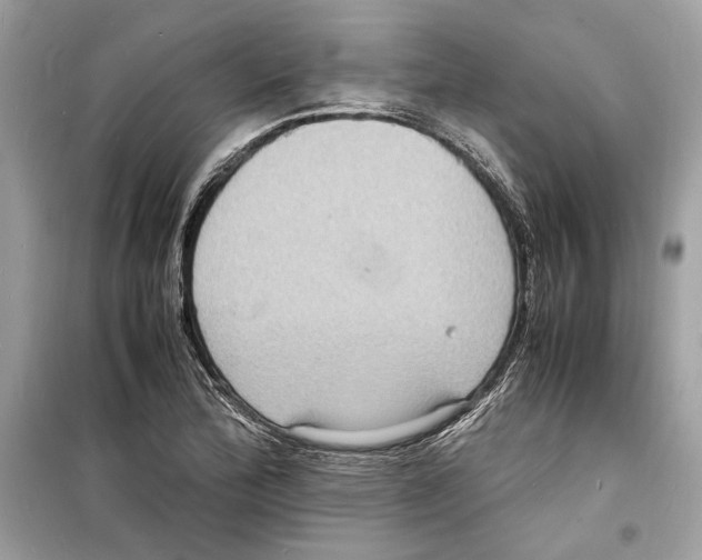 X0000098181172200805221531