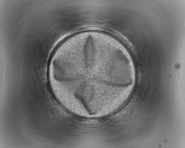 X0000098181174200805221531