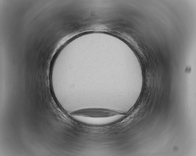 X0000098181176200805221530