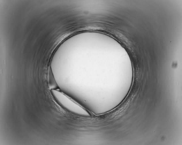 X0000098181177200805221530