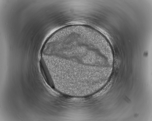 X0000098181179200805221530