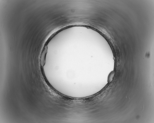 X0000098181181200805221530