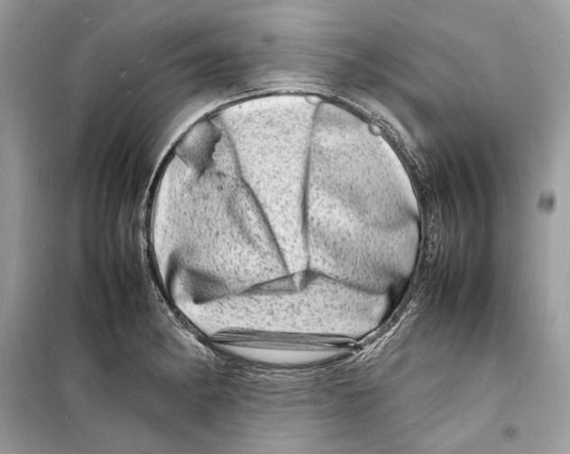 X0000098181182200805221530