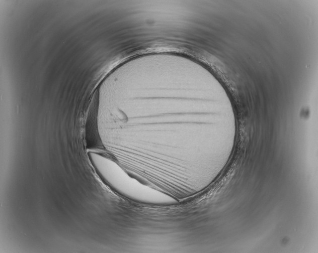 X0000098181185200805221530