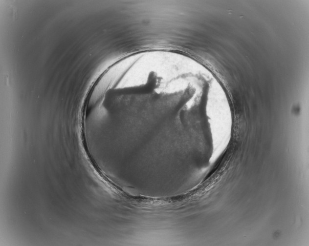 X0000098181187200805221530