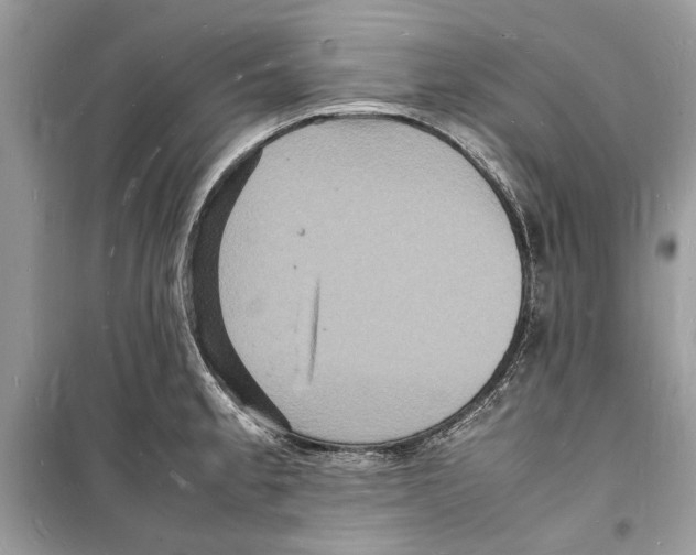 X0000098181189200805221530