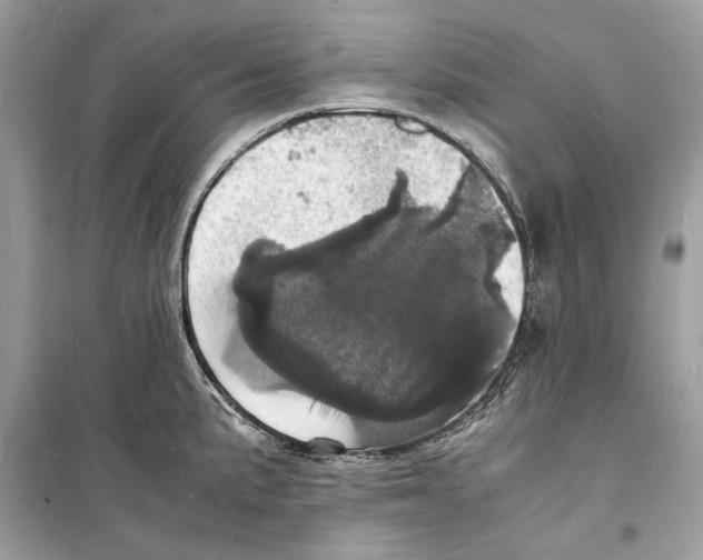 X0000098181191200805221530