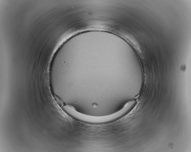 X0000098181192200805221530