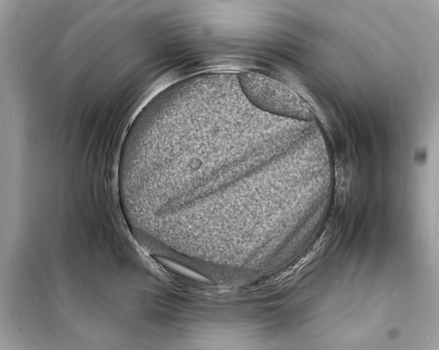 X0000098181194200805221530