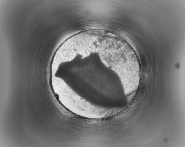 X0000098181195200805221530