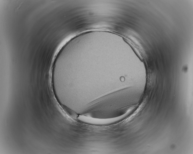 X0000098181196200805221530