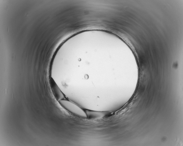 X0000098181197200805221530