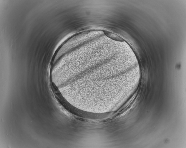 X0000098181198200805221530