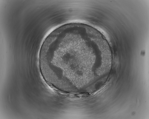 X0000098181199200805221530