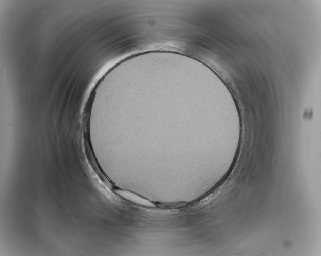 X0000098181200200805221530