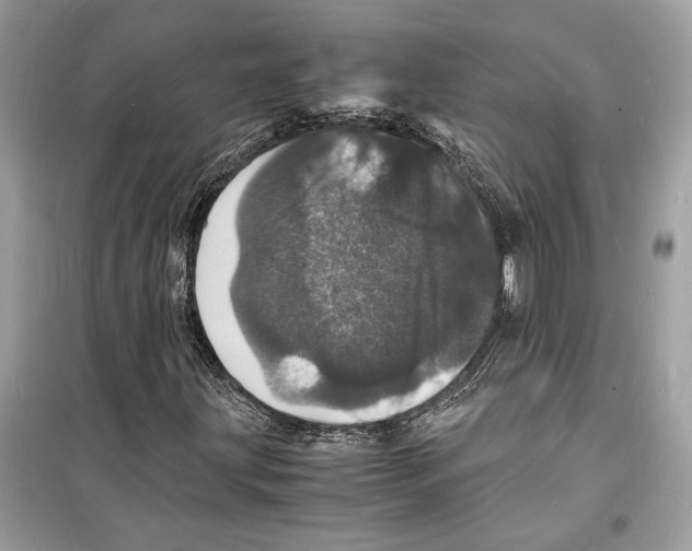 X0000098181203200805221529