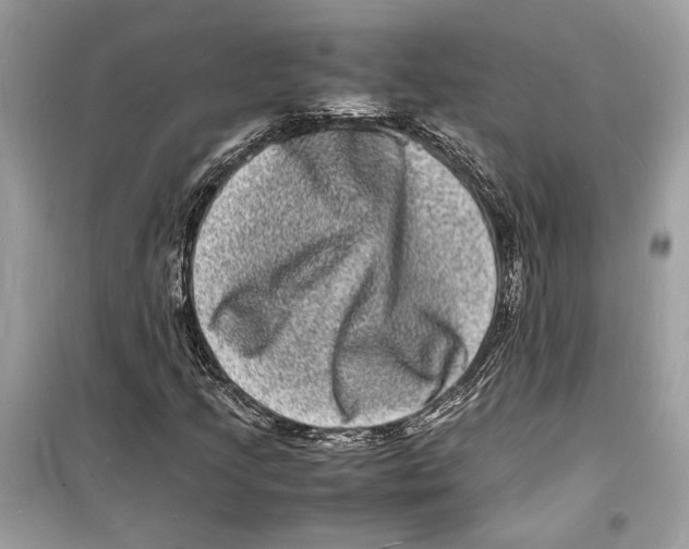 X0000098181205200805221529