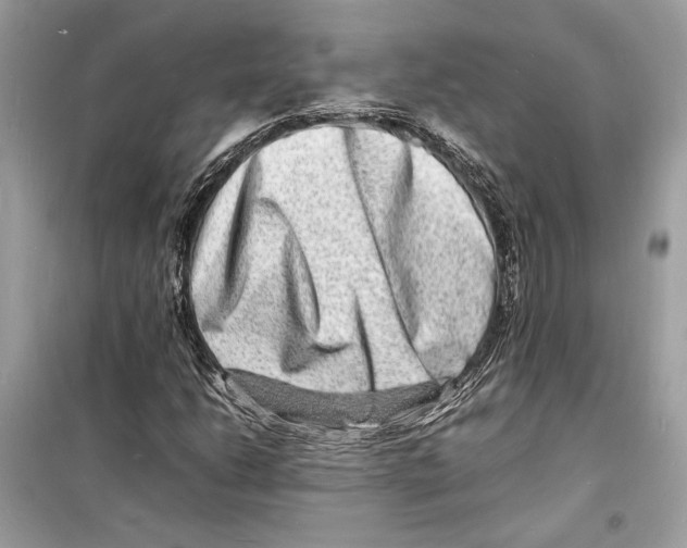 X0000098181206200805221529