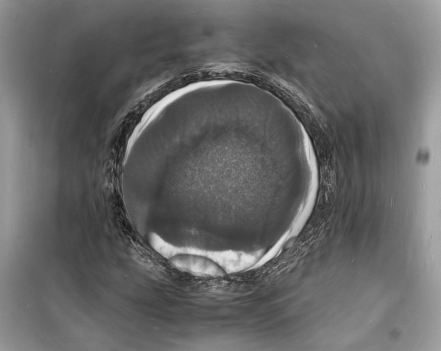 X0000098181207200805221530