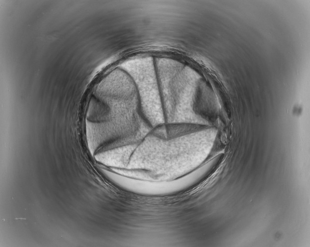 X0000098181210200805221530