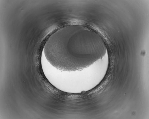 X0000098181211200805221530