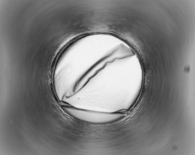 X0000098181212200805221530