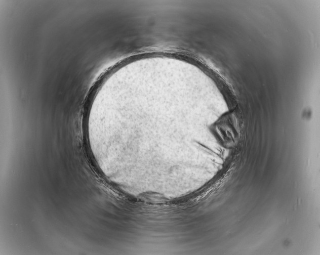 X0000098181214200805221530