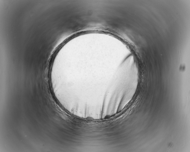 X0000098181216200805221530