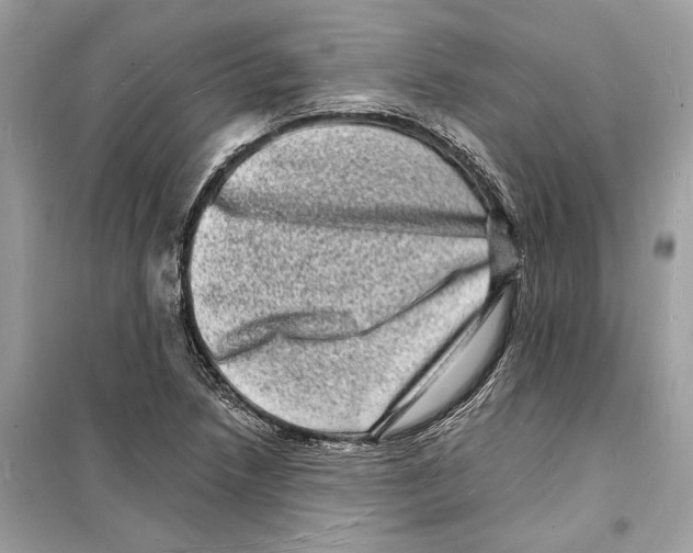 X0000098181218200805221530