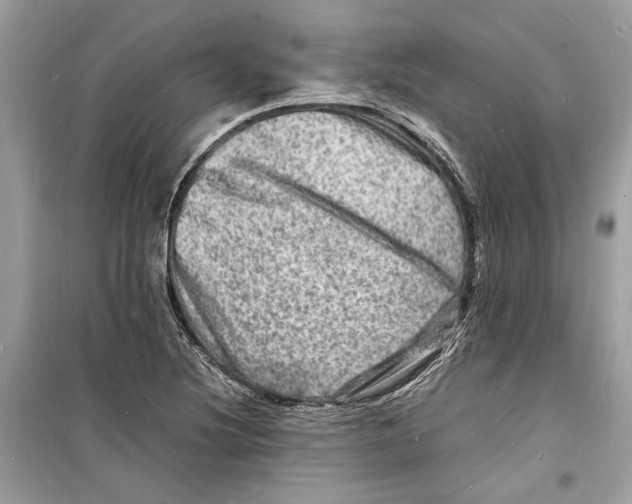 X0000098181220200805221530