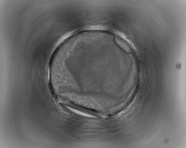 X0000098181221200805221530