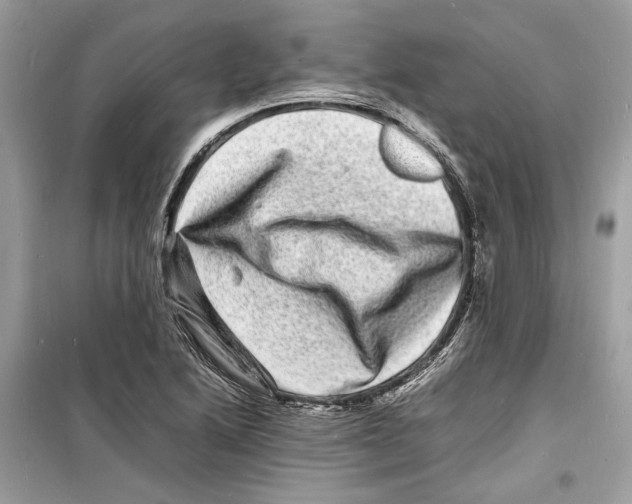 X0000098181222200805221530