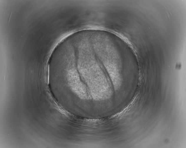 X0000098181223200805221530