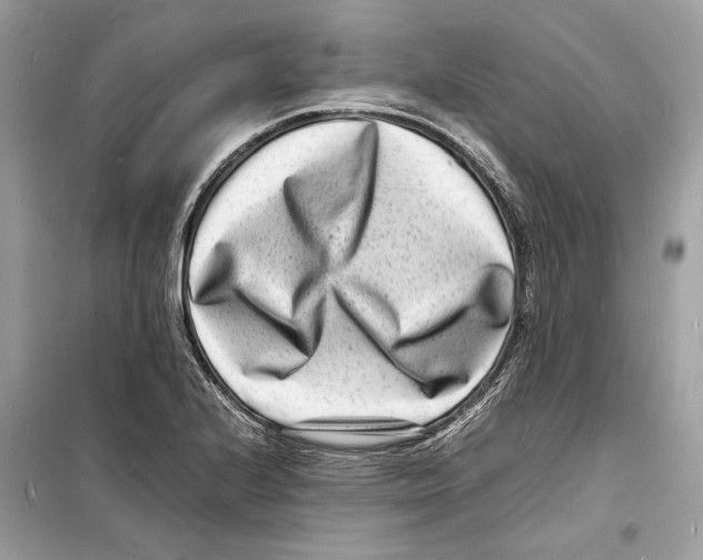 X0000098181224200805221530