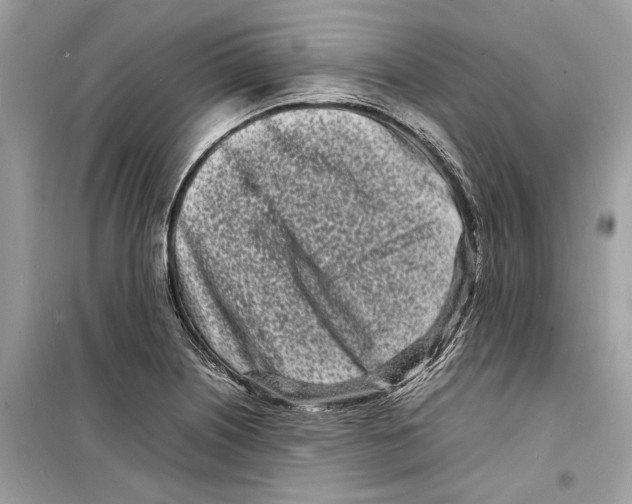 X0000098181226200805221530