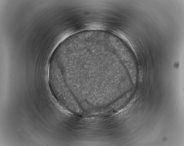 X0000098181227200805221530