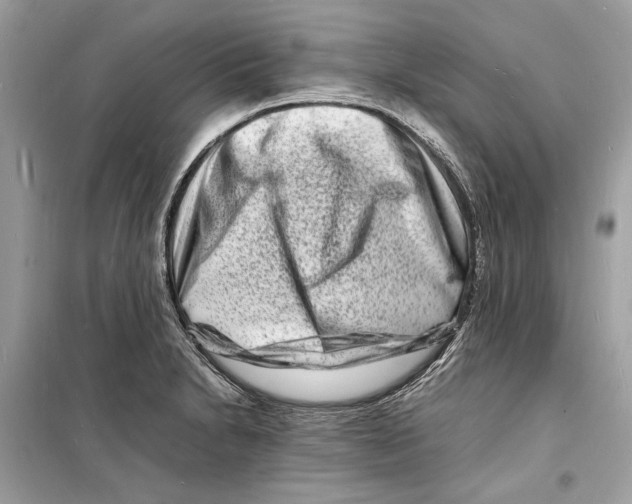 X0000098181230200805221530