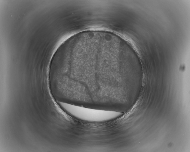 X0000098181231200805221530