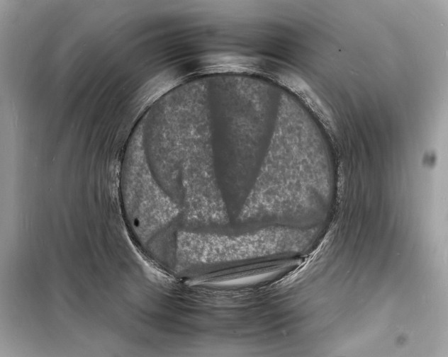 X0000098181233200805221530