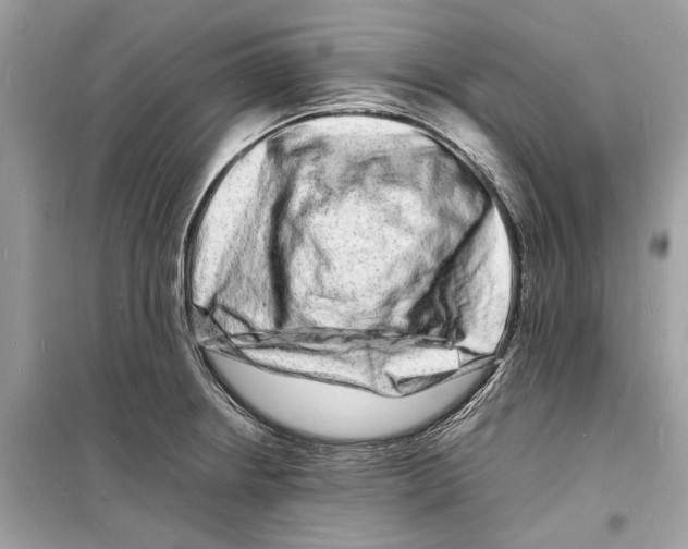 X0000098181234200805221530