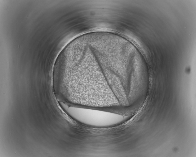 X0000098181236200805221530