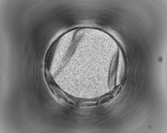 X0000098181237200805221530