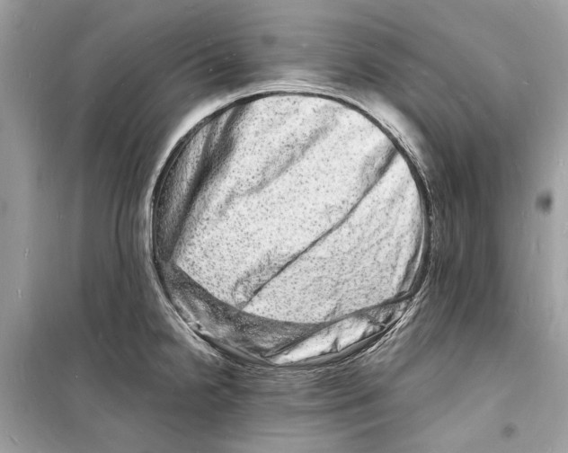 X0000098181238200805221530